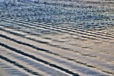 Full frame shot of paving stone