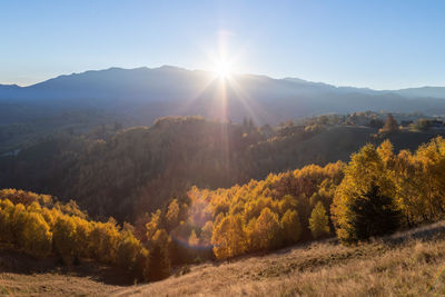 environment