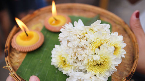 Cropped hands of woman holding flower and diya in plate