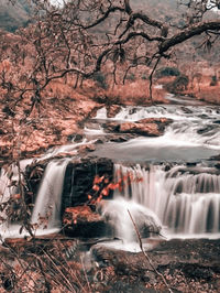 Scenic view of waterfall along trees