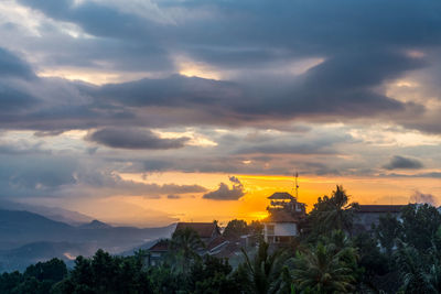 Trees and buildings against sky during sunset