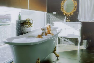 Stuffed toy in bathroom at home