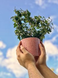 Low angle view of person holding leaf against sky