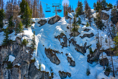 Plants on snow covered land against mountains