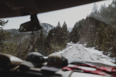 Snow covered road by trees in forest seen through rear windshield