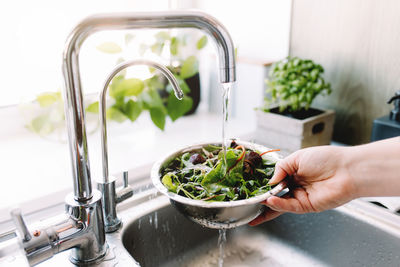 Woman washing green salad leaves for salad in kitchen in sink under running water