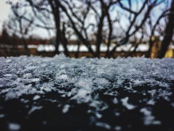 Close-up of snow covered landscape