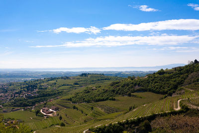 Scenic view of agricultural field against sky