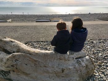 Rear view of boy and girl sitting on wood at beach