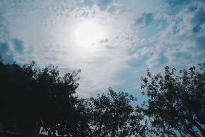 Low angle view of silhouette trees against sky