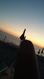 Close-up of silhouette hand on beach against sky during sunset