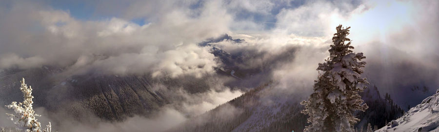 Panoramic view of trees against sky