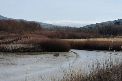 Scenic view of lake against sky