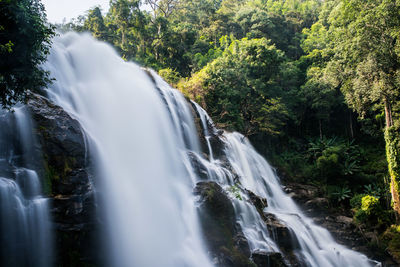 Scenic view of waterfall in forest