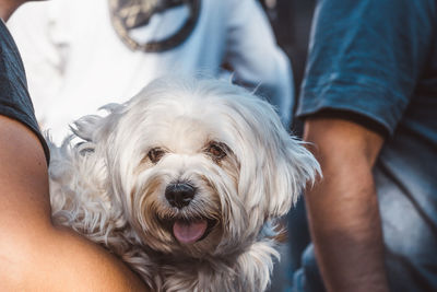 Close-up portrait of man with dog