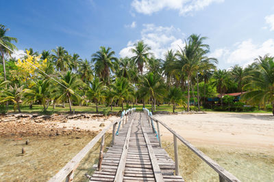 Panoramic shot of palm trees on landscape against sky