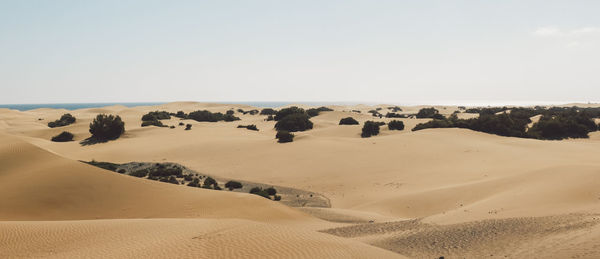 Scenic view of desert against clear sky