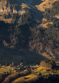 Aerial view of landscape