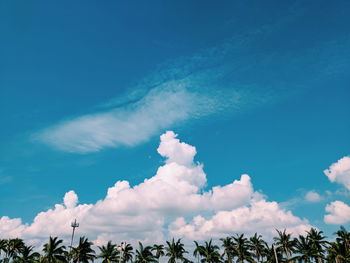 Low angle view of trees against blue sky