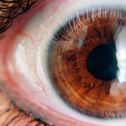 Extreme close up of human eye