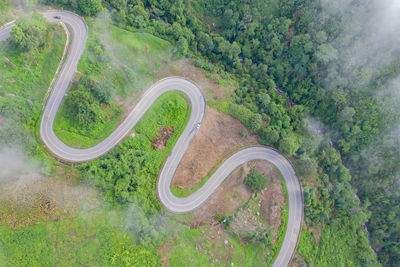 High angle view of road amidst trees