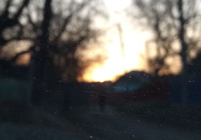 Silhouette trees against sky during sunset