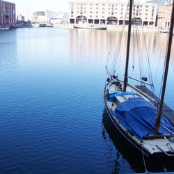 Boats moored at harbor