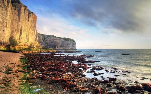 View of beach against sky