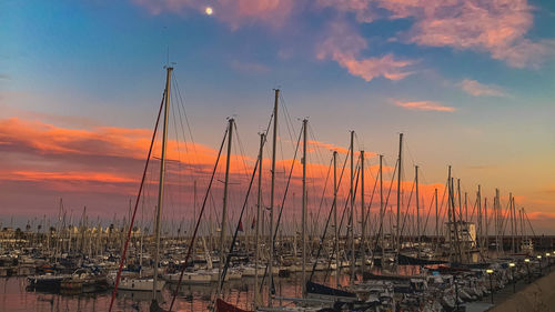 Sailboats moored at harbor against sky during sunset