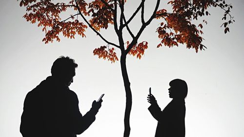 Silhouette people using phone while standing by autumn tree against clear sky