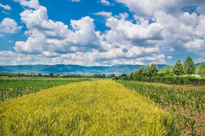 Scenic view of field against cloudy sky