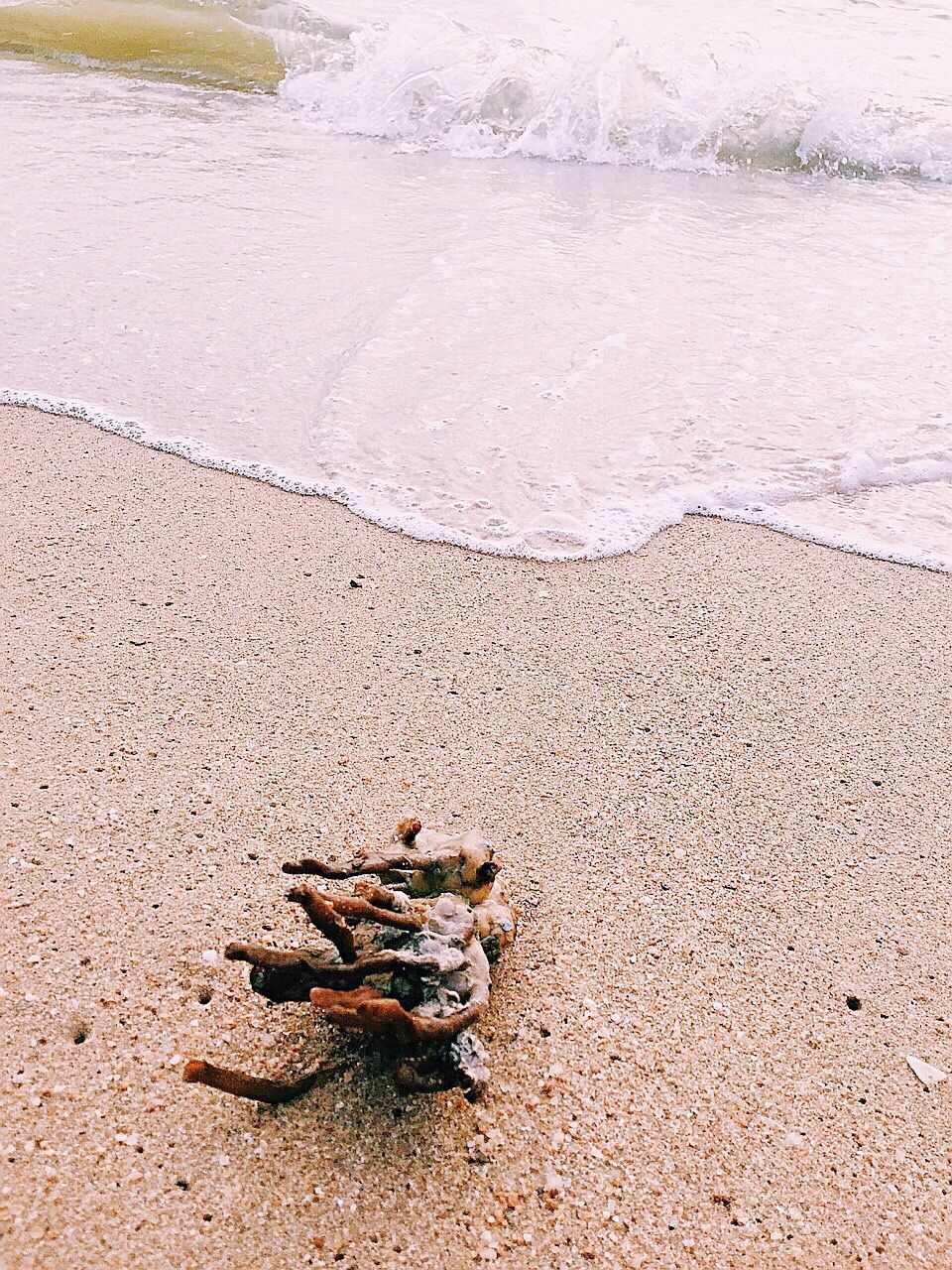 WATER ON BEACH