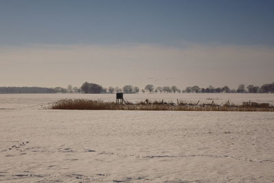 Scenic view of field against sky during winter