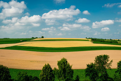 Scenic view of agricultural field against sky