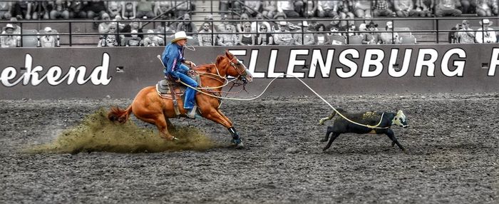 Man riding horse with dog