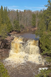 Scenic view of waterfall against trees in forest