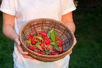 Red chilli peppers habanero and cayenne in the basket