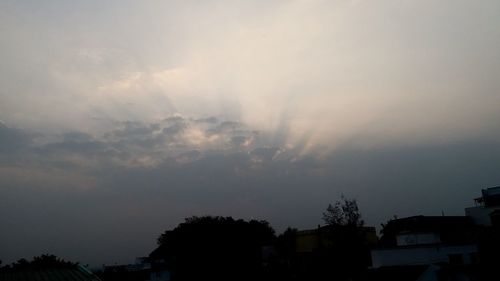 Low angle view of silhouette trees and buildings against sky