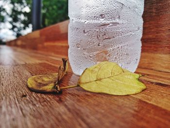 Close-up of dry leaves on table