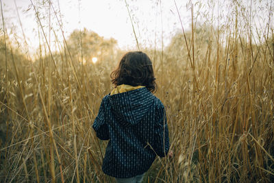 Rearview child walking throught the fields