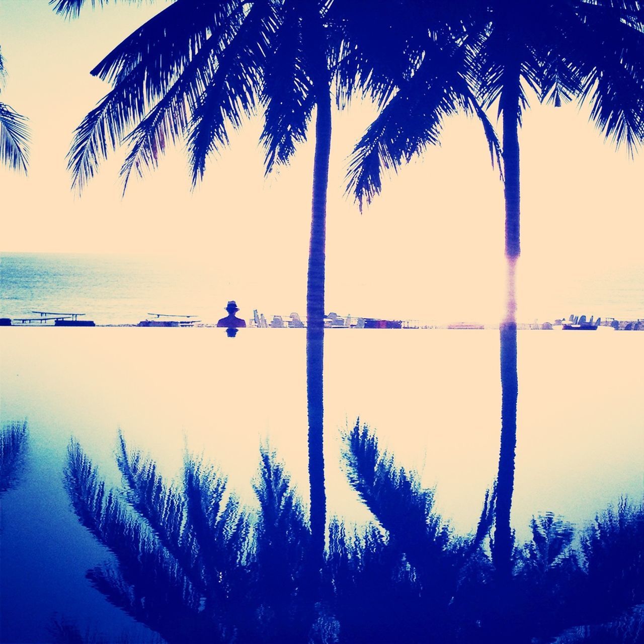 sea, water, palm tree, tree, clear sky, horizon over water, tranquility, tranquil scene, scenics, blue, beauty in nature, sunset, nature, beach, silhouette, branch, sky, shore, idyllic, dusk
