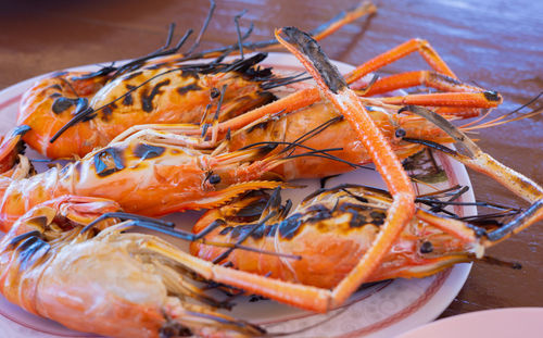Close up and selective focus shot of many large grilled shrimps with orange color of well cooking
