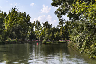 Scenic view of river by trees against sky