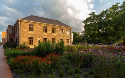 Flowering plants by building against sky