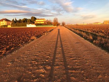 Surface level of agricultural field against sky