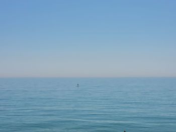 Paddle boarding in the calm blue ocean 