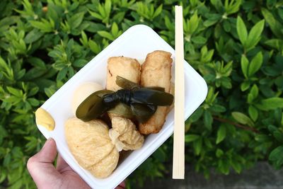 Cropped image of person holding oden in plate over plants