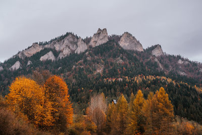 Scenic view of mountains against sky during autumn