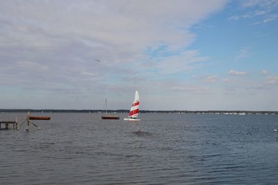 Sailboat sailing on sea against sky