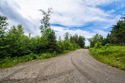 Road amidst trees against sky